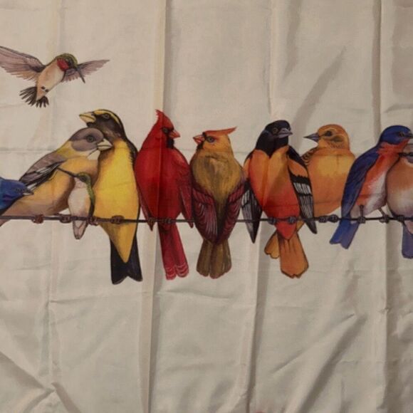 "NEW" 1pc  Bird Print Multicolor Shower Curtain W/ Plastic Hooks 71"x71" - Picture 8 of 9